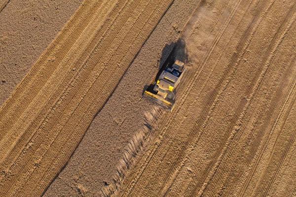 Vista aérea de combinar en campos de cosecha —  Fotos de Stock