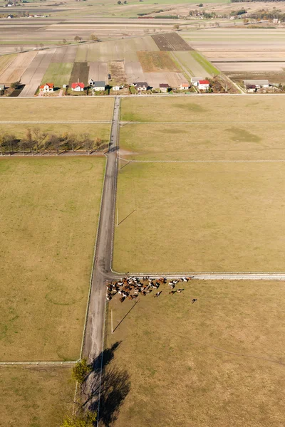 Vista aérea del paisaje del pueblo — Foto de Stock