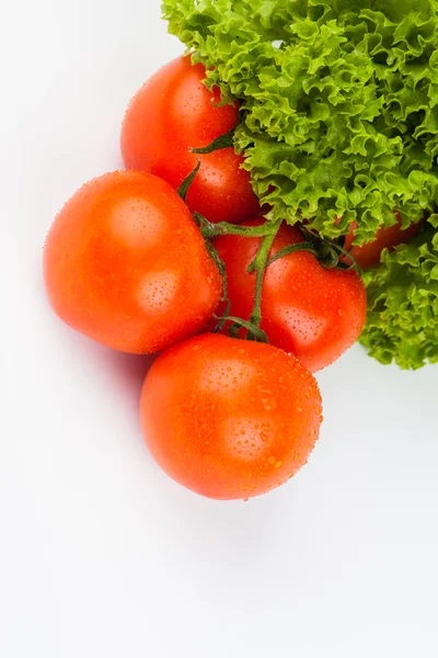 Tomato and lettuce — Stock Photo, Image