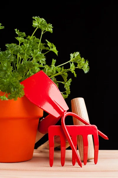 Garden tools — Stock Photo, Image