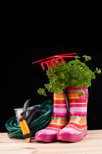 Garden tools — Stock Photo, Image