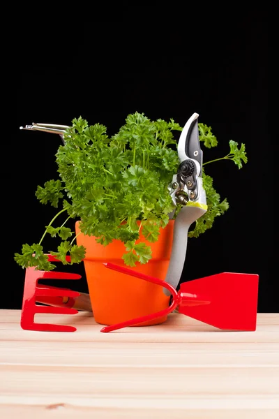 Garden tools — Stock Photo, Image