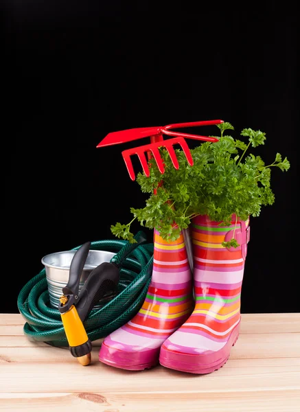 Garden tools — Stock Photo, Image