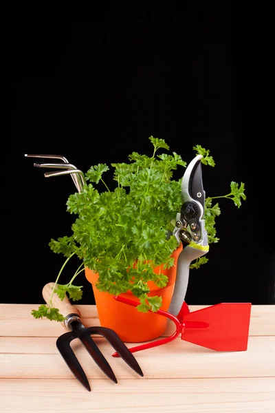 Garden tools — Stock Photo, Image