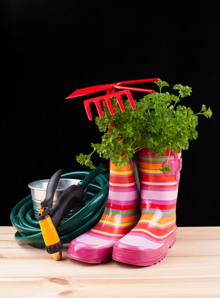 Garden tools — Stock Photo, Image