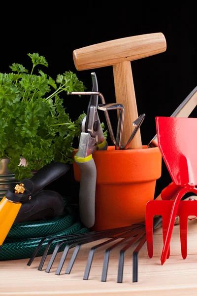 Garden tools — Stock Photo, Image