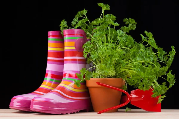 Garden tools — Stock Photo, Image