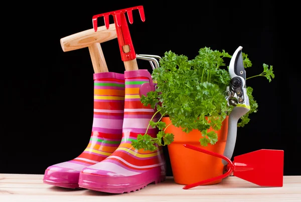 Garden tools — Stock Photo, Image