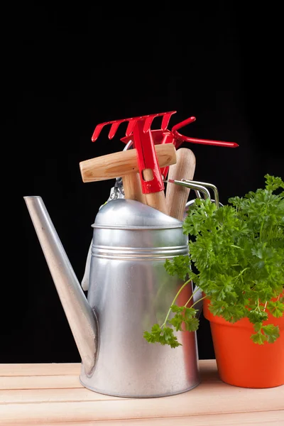 Garden tools — Stock Photo, Image