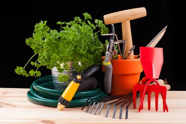 Garden tools — Stock Photo, Image