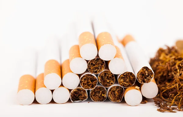 Tobaco industry — Stock Photo, Image