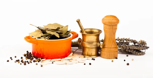 Various spices equipment isolated on white — Stock Photo, Image