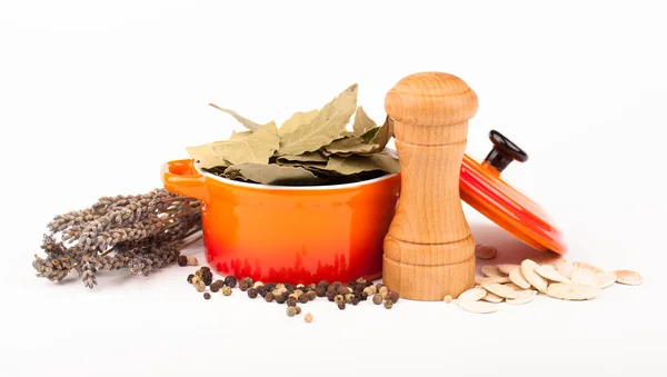Various spices equipment — Stock Photo, Image