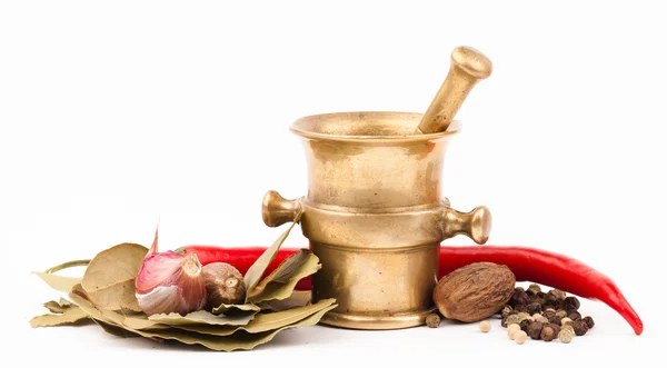 Brass mortar with spices — Stock Photo, Image