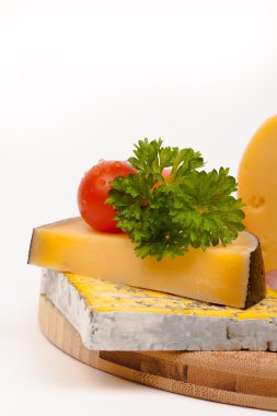 çeşitli peynir türleri