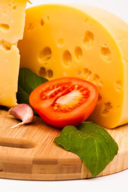 çeşitli peynir türleri