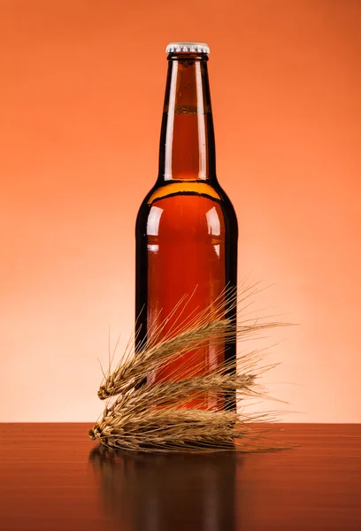 Beer — Stock Photo, Image