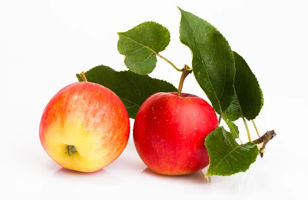 Dos frutas de manzana — Foto de Stock