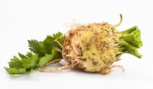 Celeriac root — Stock Photo, Image