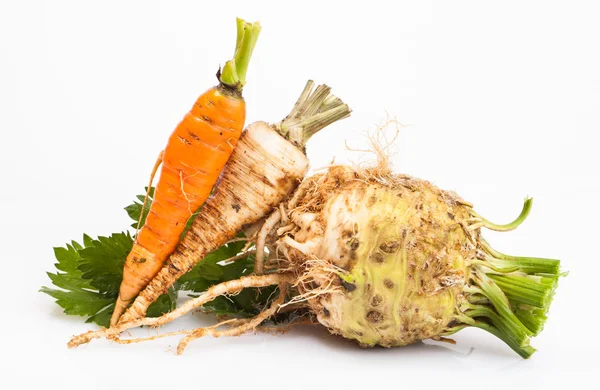 Celer, mrkev a petržel kořeny — Stock fotografie