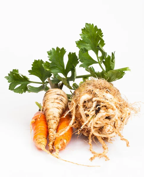 Sedano, carota e prezzemolo — Foto Stock