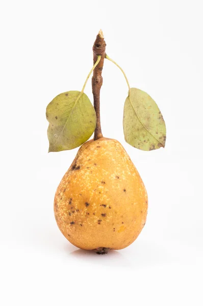 Yellow pear — Stock Photo, Image