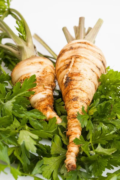 Petersilienwurzel und Blätter — Stockfoto