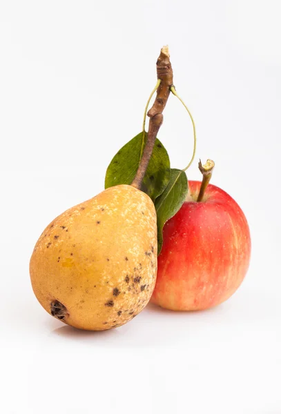 Pear and apple — Stock Photo, Image