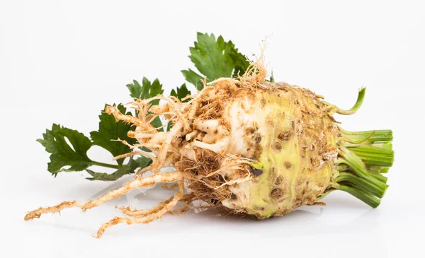 Celeriac root — Stock Photo, Image