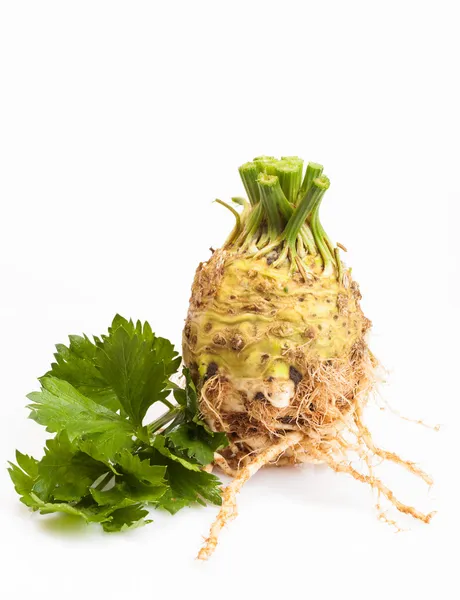 Celeriac root — Stock Photo, Image