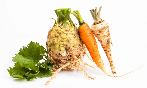Celer, mrkev a petržel kořeny — Stock fotografie