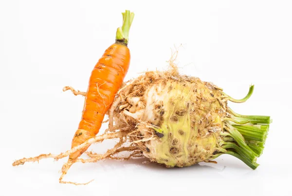 Sellerie und Karottenwurzeln — Stockfoto
