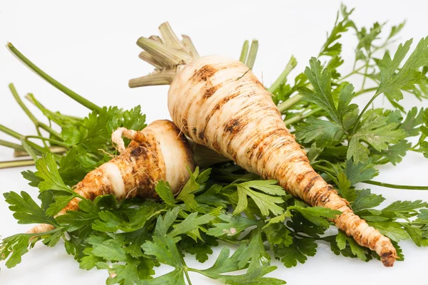 Parsley root