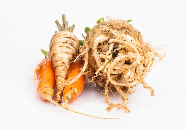 Sellerie, Karotten und Petersilienwurzeln — Stockfoto