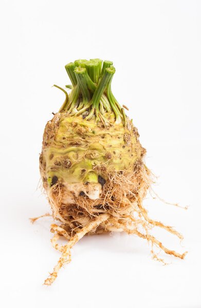 Celeriac root