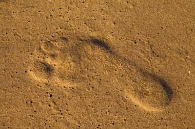 Sahilde ayak sesleri