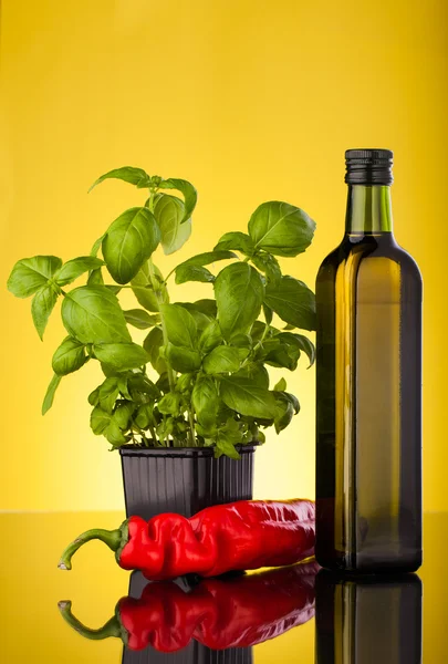 Olej olivový láhve — Stock fotografie