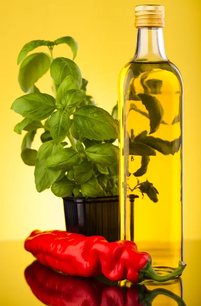 Öl-Olivenflaschen — Stockfoto