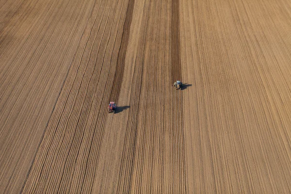 Aerial view of harvest fields with tractor — Stock Photo, Image