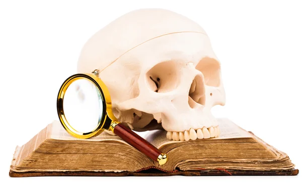 Eski kitap ve insan kafatası üzerinde beyaz izole — Stok fotoğraf
