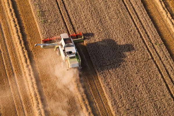 Mähdrescher auf Erntefeld — Stockfoto