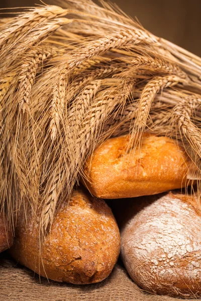 Assortment of baked bread — Stock Photo, Image