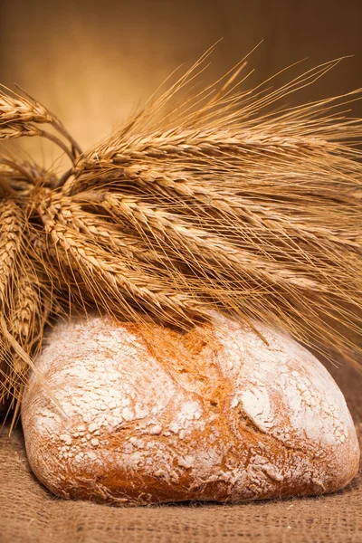 Baked bread — Stock Photo, Image