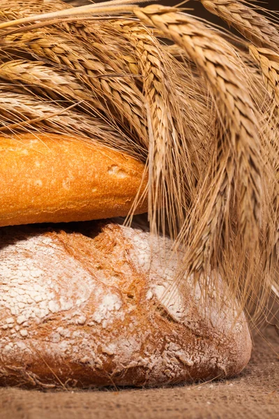 Pane al forno — Foto Stock