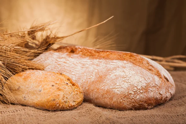 बेक केलेले ब्रेड — स्टॉक फोटो, इमेज