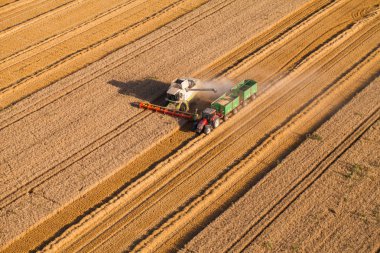 hasat alanı birleştirmek