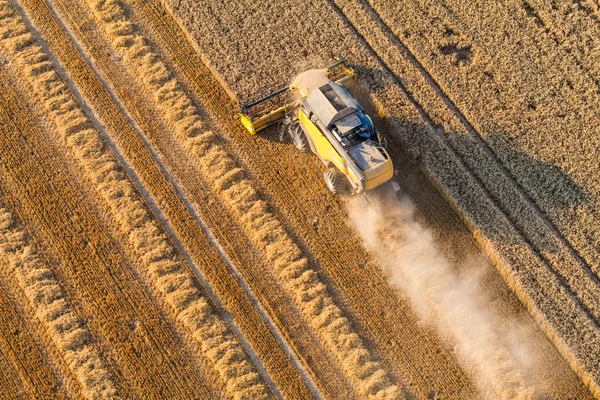 Combine on harvest field — Stock Photo, Image