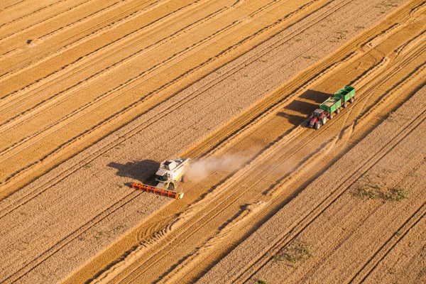 hasat alanı birleştirmek