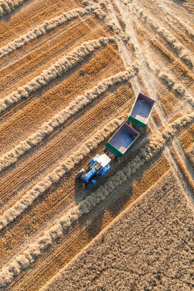 Tractor on harvest field — Stock Photo, Image