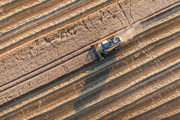 Combineren op oogst veld — Stockfoto